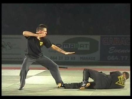 festival des arts martiaux 2006 au spiroudrome